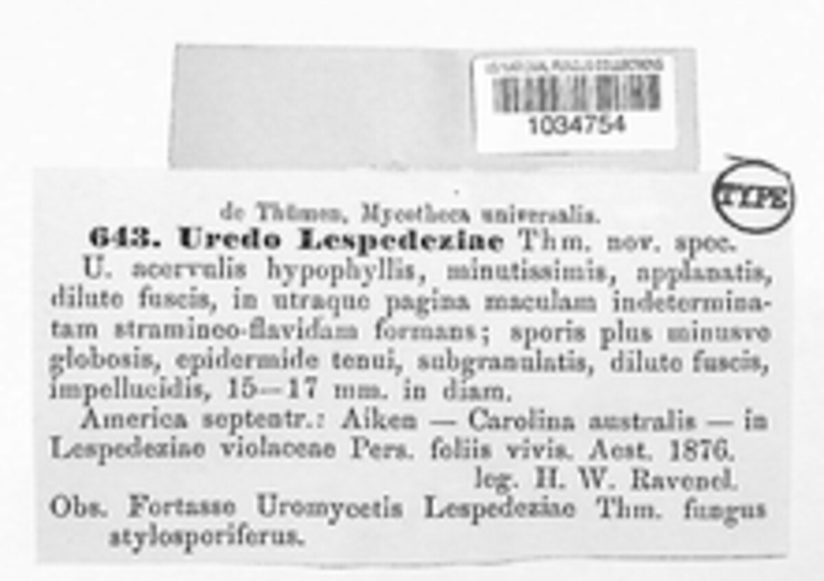 Uromyces lespedezae image